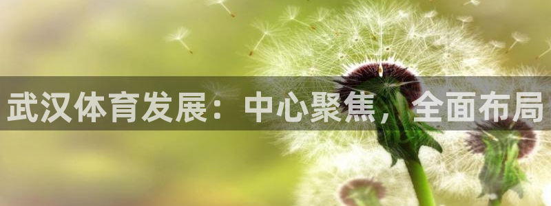 凯捷体育平台假的吗是真的吗：武汉体育发展：中心聚焦，