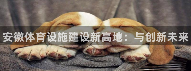 凯捷体育娱乐代理怎么样：安徽体育设施建设新高地：与创