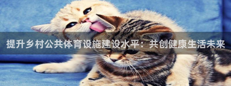 凯捷体育平台假的吗是真的吗：提升乡村公共体育设施建设