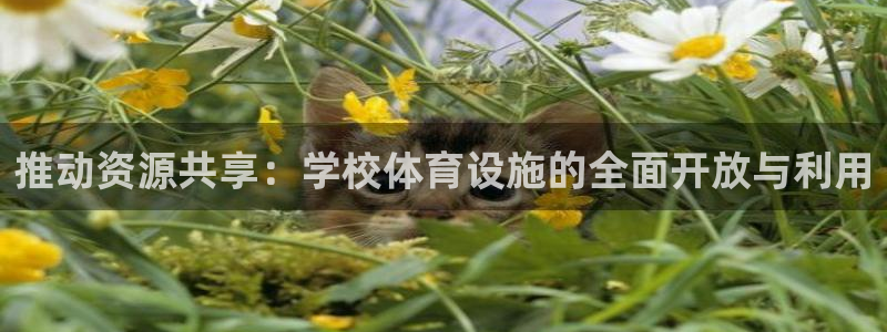 凯捷体育官网：推动资源共享：学校体育设施的全面开放与利用