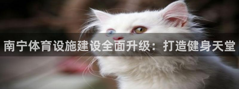 海南凯捷体育：南宁体育设施建设全面升级：打造健身天堂
