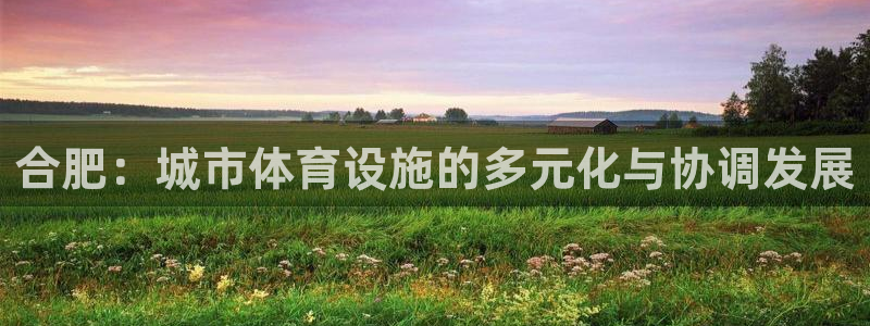 凯捷体育平台注册要钱吗：合肥：城市体育设施的多元化与