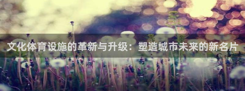 凯捷体育娱乐平台：文化体育设施的革新与升级：塑造城市