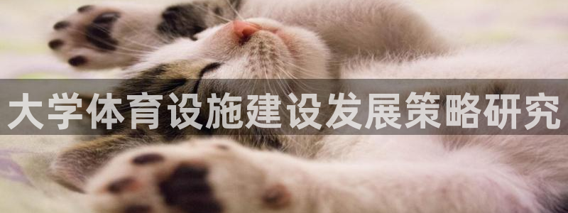 凯捷体育集团官网首页：大学体育设施建设发展策略研究