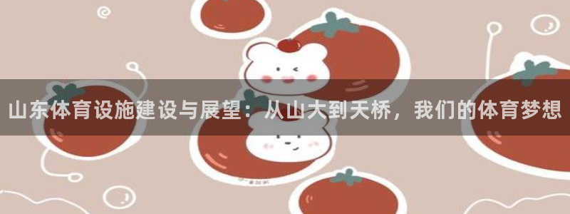 凯捷平台体育：山东体育设施建设与展望：从山大到天桥，