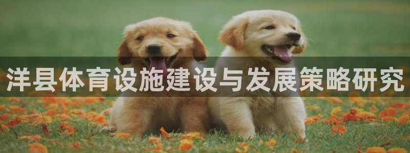 凯捷体育是干嘛的公司：洋县体育设施建设与发展策略研究