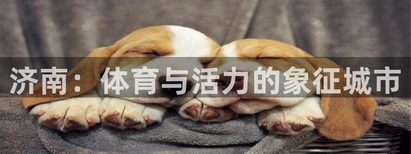 凯捷体育平台是正规平台吗安全吗：济南：体育与活力的象