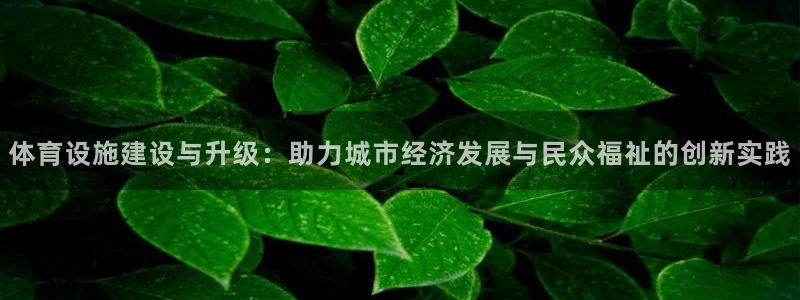 凯捷体育平台是正规平台吗知乎：体育设施建设与升级：助