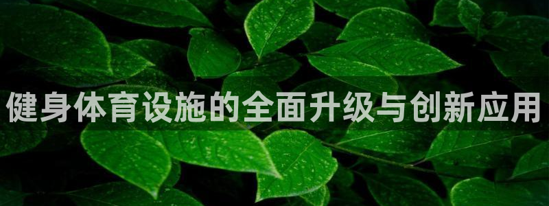 凯捷体育平台是正规平台吗安全吗：健身体育设施的全面升