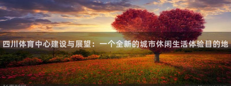 凯捷体育平台是正规平台吗：四川体育中心建设与展望：一