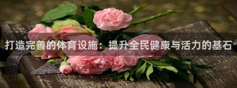 凯捷体育新能源：打造完善的体育设施：提升全民健康与活力的基石