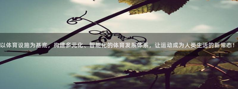 凯捷体育娱乐是那个系列的台子：以体育设施为基底，构建