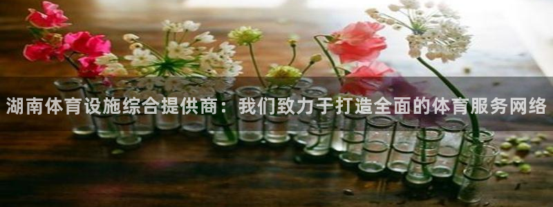凯捷体育集团简介：湖南体育设施综合提供商：我们致力于打造全面