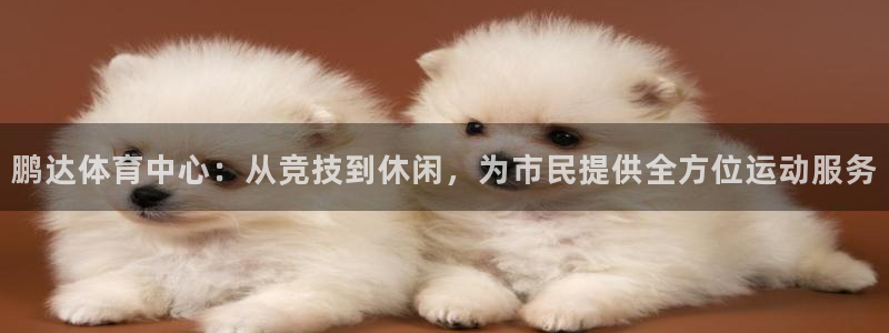 凯捷体育平台注册要钱吗安全吗：鹏达体育中心：从竞技到