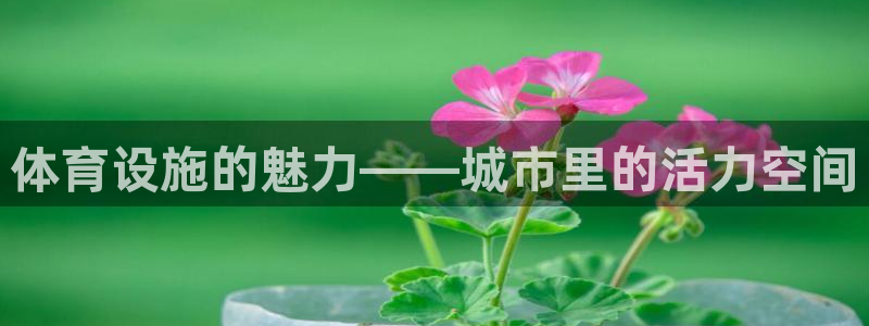 凯捷体育集团简介：体育设施的魅力——城市里的活力空间