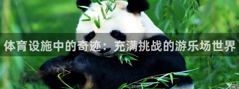 凯捷体育招商电话号码是多少啊：体育设施中的奇迹：充满