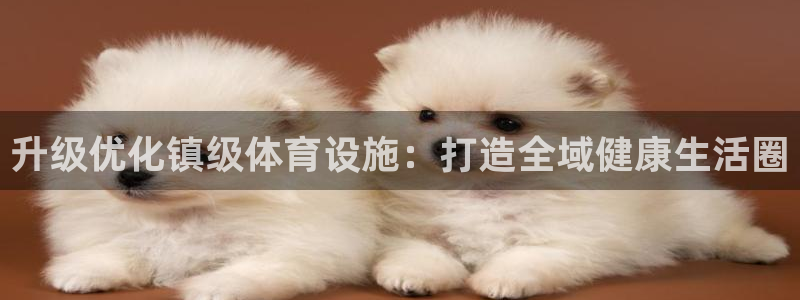 凯捷体育五金厂：升级优化镇级体育设施：打造全域健康生