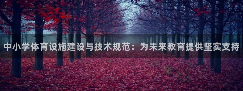 凯捷体育平台是正规平台吗知乎：中小学体育设施建设与技