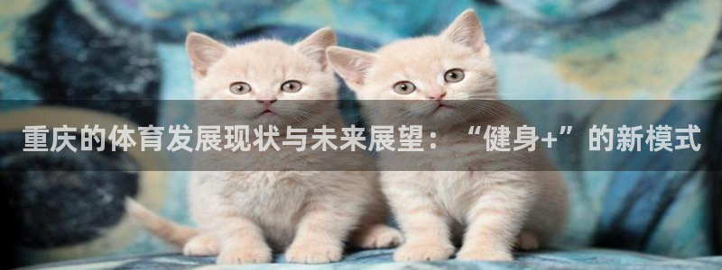 凯捷体育招商电话号码查询