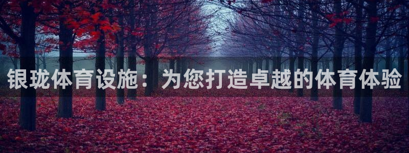 海南凯捷体育发展怎么样：银珑体育设施：为您打造卓越的