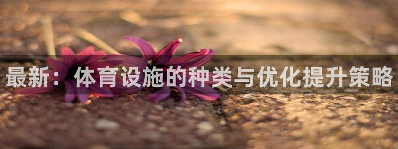 凯捷体育集团官网首页：最新：体育设施的种类与优化提升