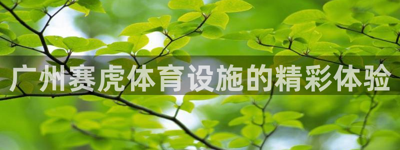 凯捷体育集团官网首页：广州赛虎体育设施的精彩体验
