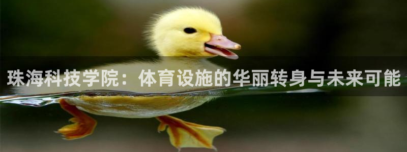 凯捷体育集团：珠海科技学院：体育设施的华丽转身与未来