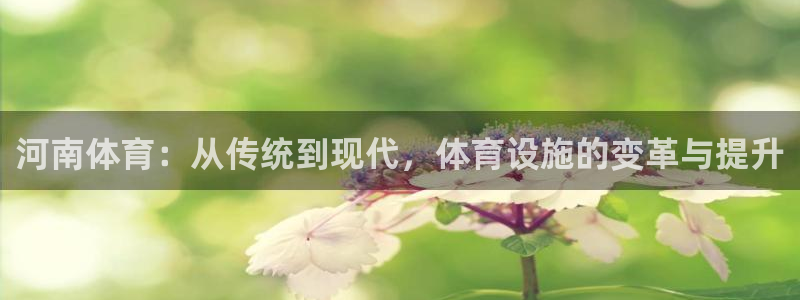 凯捷体育平台是正规平台吗安全吗：河南体育：从传统到现