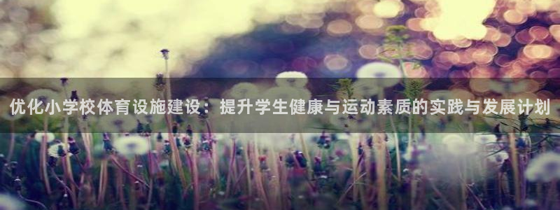 凯捷体育集团官网首页：优化小学校体育设施建设：提升学