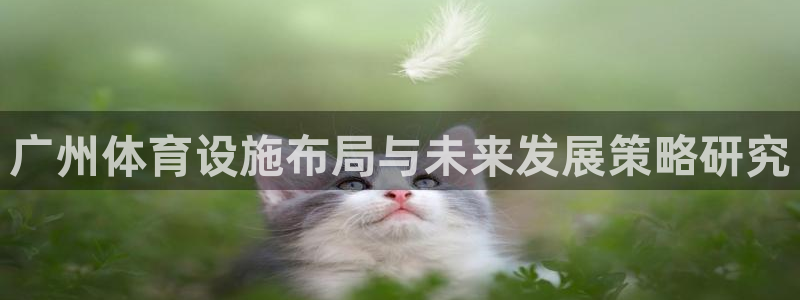 注册凯捷体育：广州体育设施布局与未来发展策略研究
