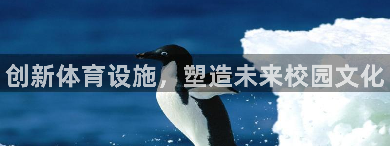 凯捷体育新能源：创新体育设施，塑造未来校园文化