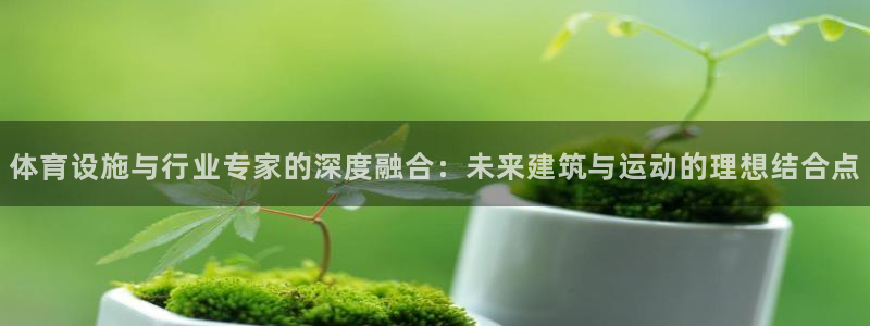 注册凯捷体育：体育设施与行业专家的深度融合：未来建筑