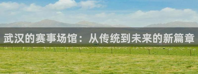 凯捷体育开户：武汉的赛事场馆：从传统到未来的新篇章