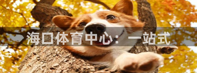 凯捷体育官方：海口体育中心：一站式