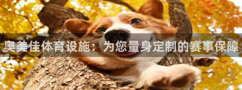凯捷体育官网：奥美佳体育设施：为您量身定制的赛事保障