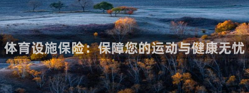 凯捷体育集团官网网址：体育设施保险：保障您的运动与健