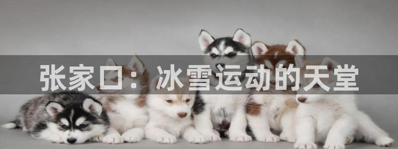 凯捷体育联系电话：张家口：冰雪运动的天堂