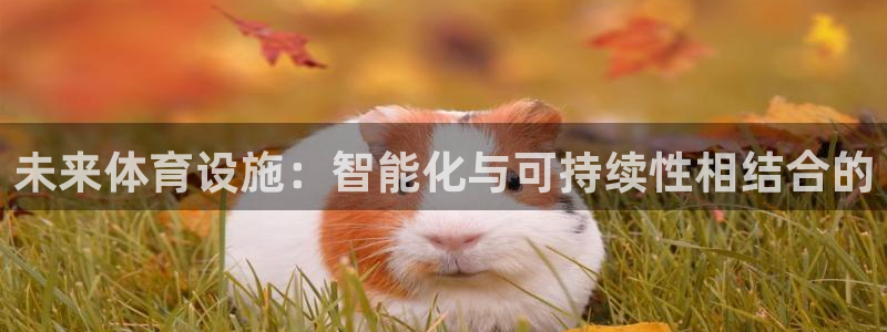 德国凯捷体育集团：未来体育设施：智能化与可持续性相结