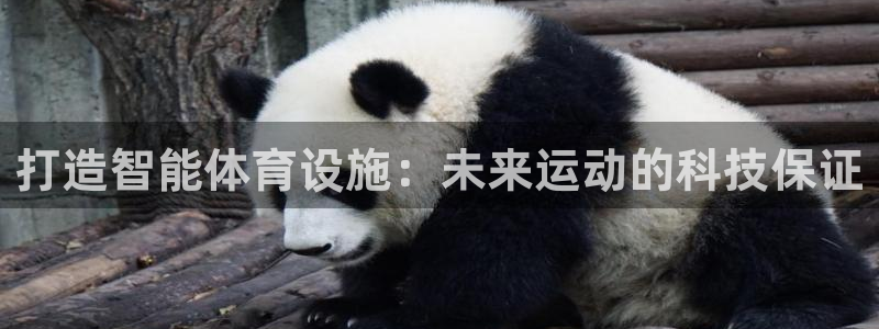 凯捷体育集团简介：打造智能体育设施：未来运动的科技保