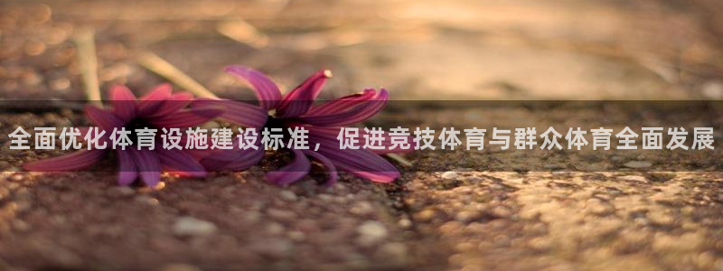 凯捷体育：全面优化体育设施建设标准，促进竞技体育与群