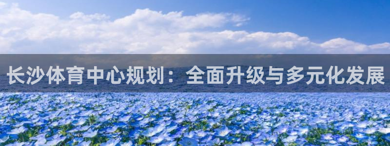 凯捷体育招商电话是多少：长沙体育中心规划：全面升级与多元化发