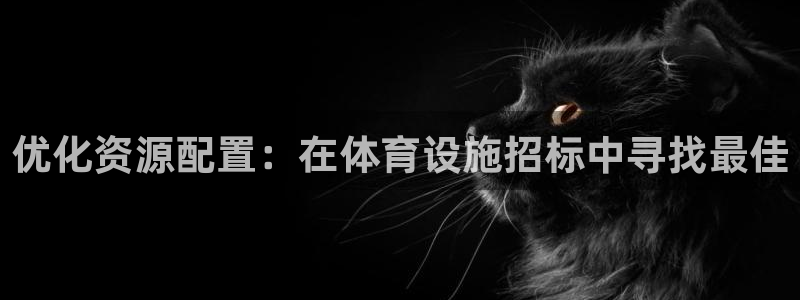 凯捷体育官方客服电话：优化资源配置：在体育设施招标中