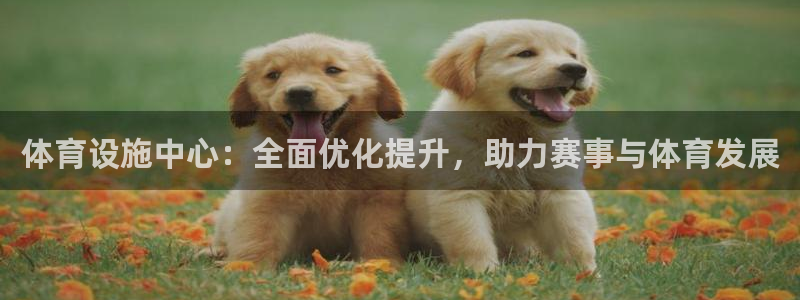 海南凯捷体育发展怎么样：体育设施中心：全面优化提升，