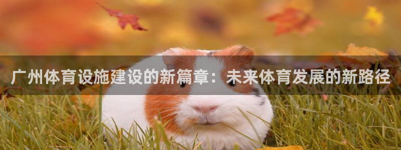 凯捷体育平台注册要钱吗：广州体育设施建设的新篇章：未