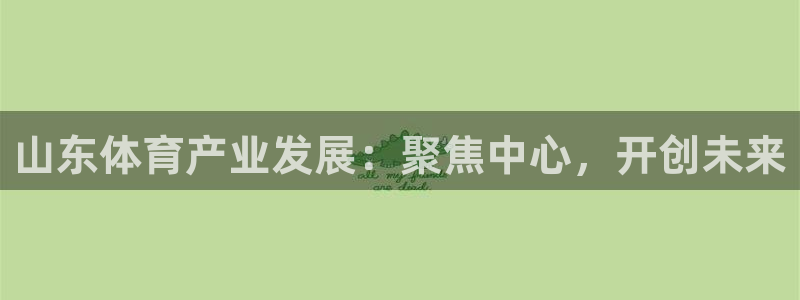 凯捷体育平台是正规平台吗：山东体育产业发展：聚焦中心