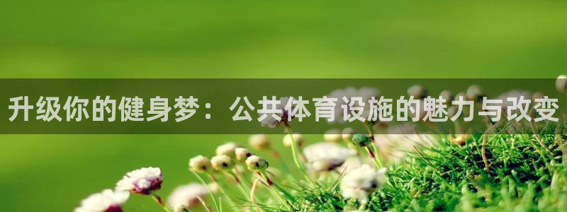 凯捷体育新能源