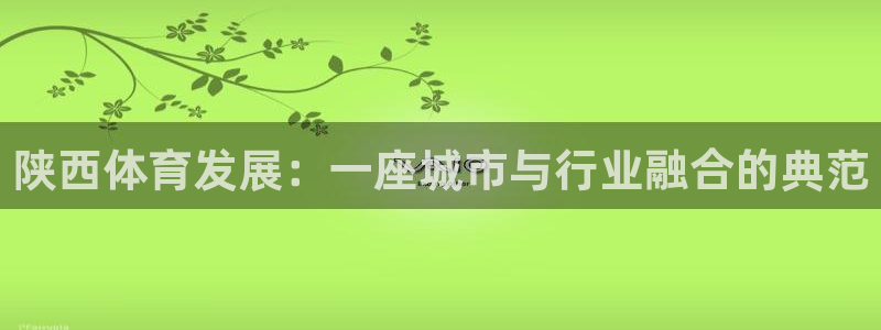 凯捷体育平台APP：陕西体育发展：一座城市与行业融合
