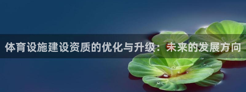 凯捷体育：体育设施建设资质的优化与升级：未来的发展方向